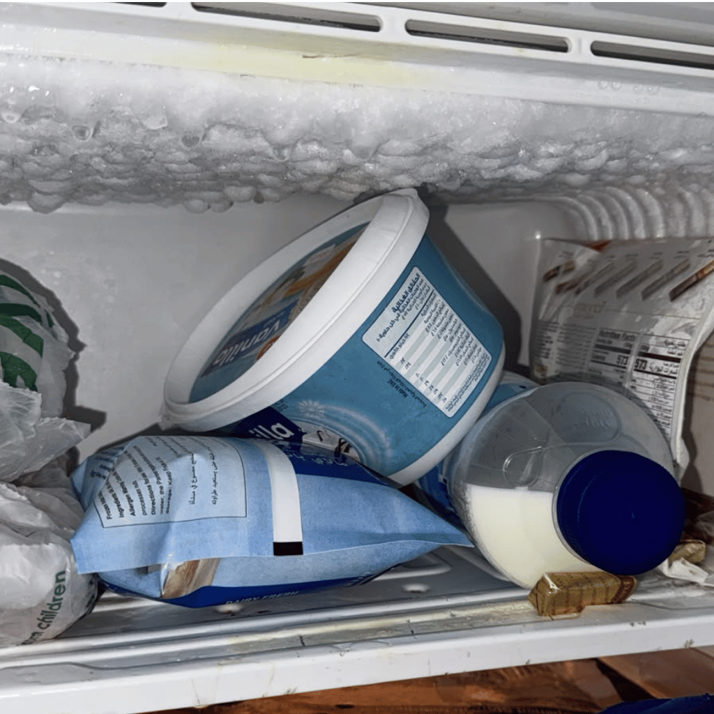 Refrigerator fridge repair (2)